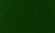 Grass Texture